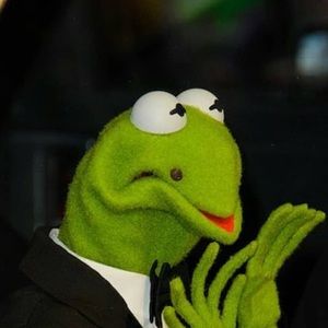 Meet your Posher, Allie